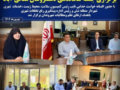 برگزاری جلسه ساماندهی دستفروشان معالی‌آباد